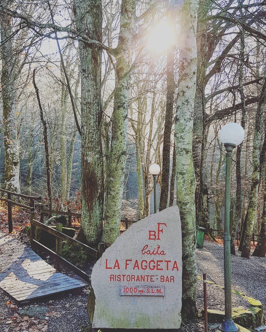 Cartello di pietra tra alberi, sole filtrante.