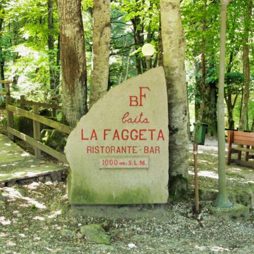 Cartello di pietra "La Faggeta" in un bosco.