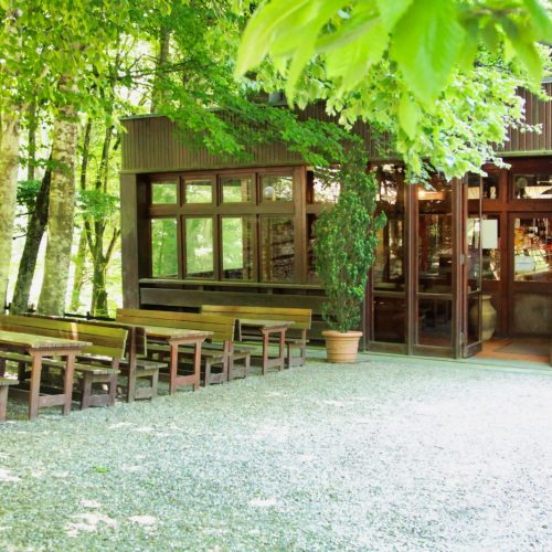 Esterno di un ristorante con tavoli e piante.