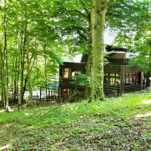 Edificio in legno immerso in un bosco verde.