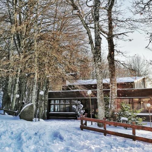 Edificio invernale tra alberi innevati al tramonto.