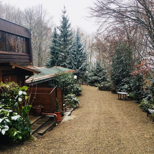 Strada sterrata tra alberi e edificio in legno innevati.
