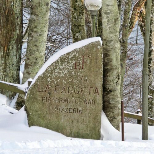 Insegna di pietra di un ristorante innevato tra alberi.
